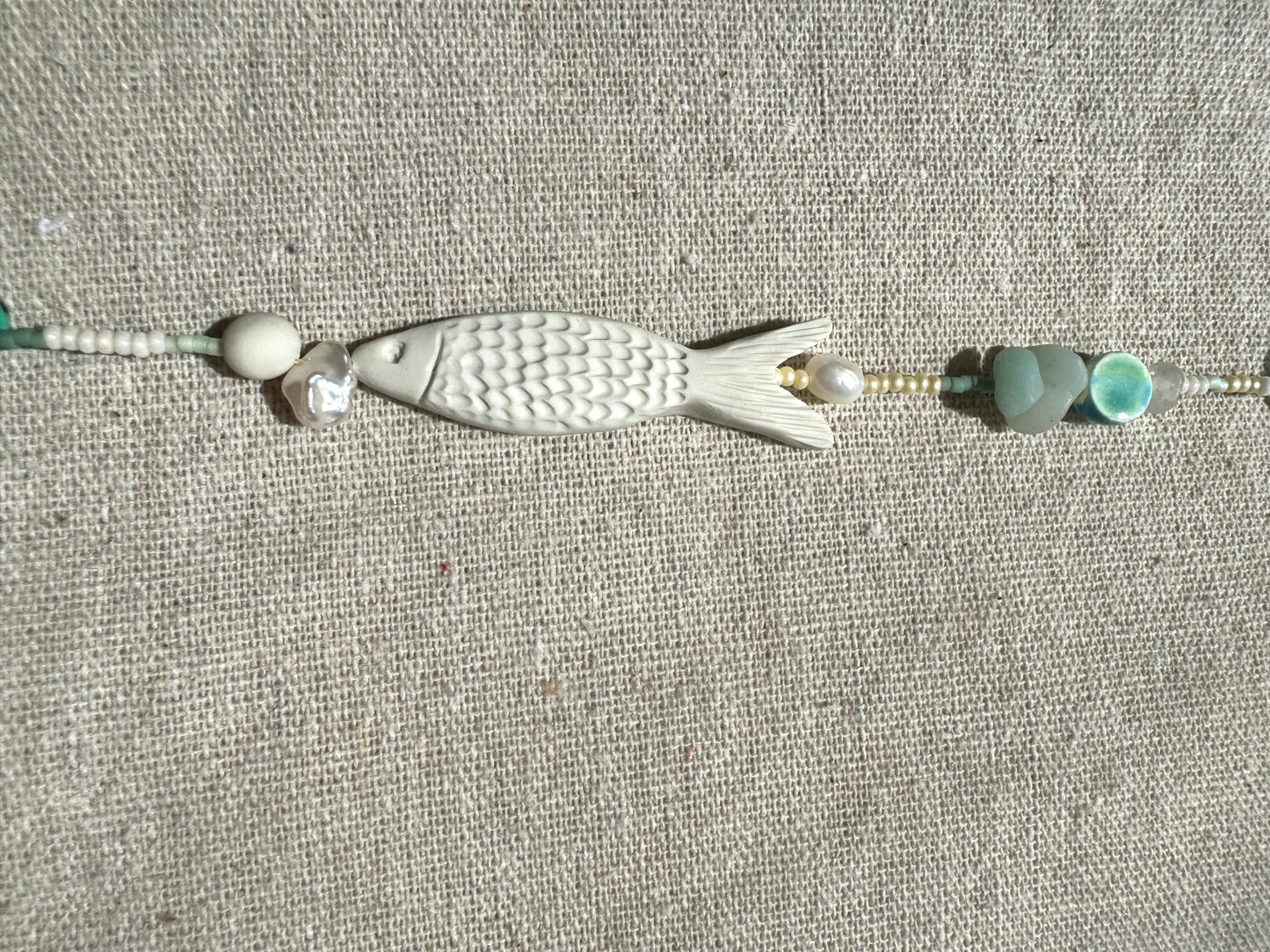 B.Pilchard fish, Clupeidae