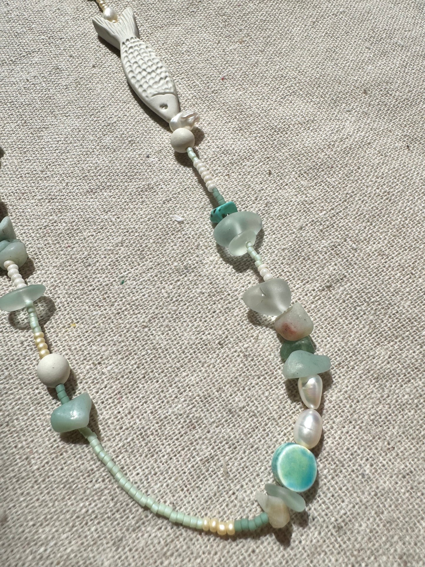 B.Pilchard fish, Clupeidae